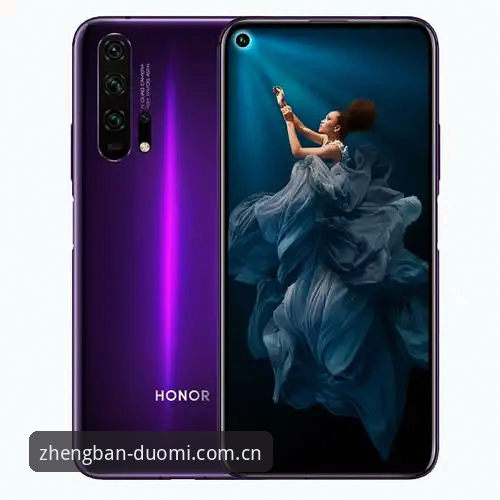 多米体育APP下载使用指南：2025新版功能与安全登录完整教程